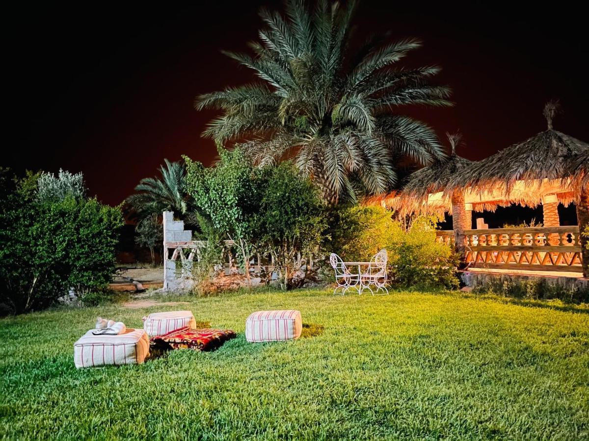 Paradis Touareg Zagora Bagian luar foto