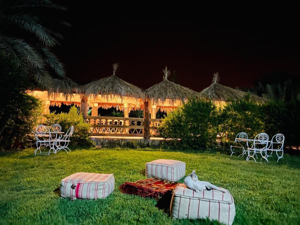 Paradis Touareg Zagora Bagian luar foto