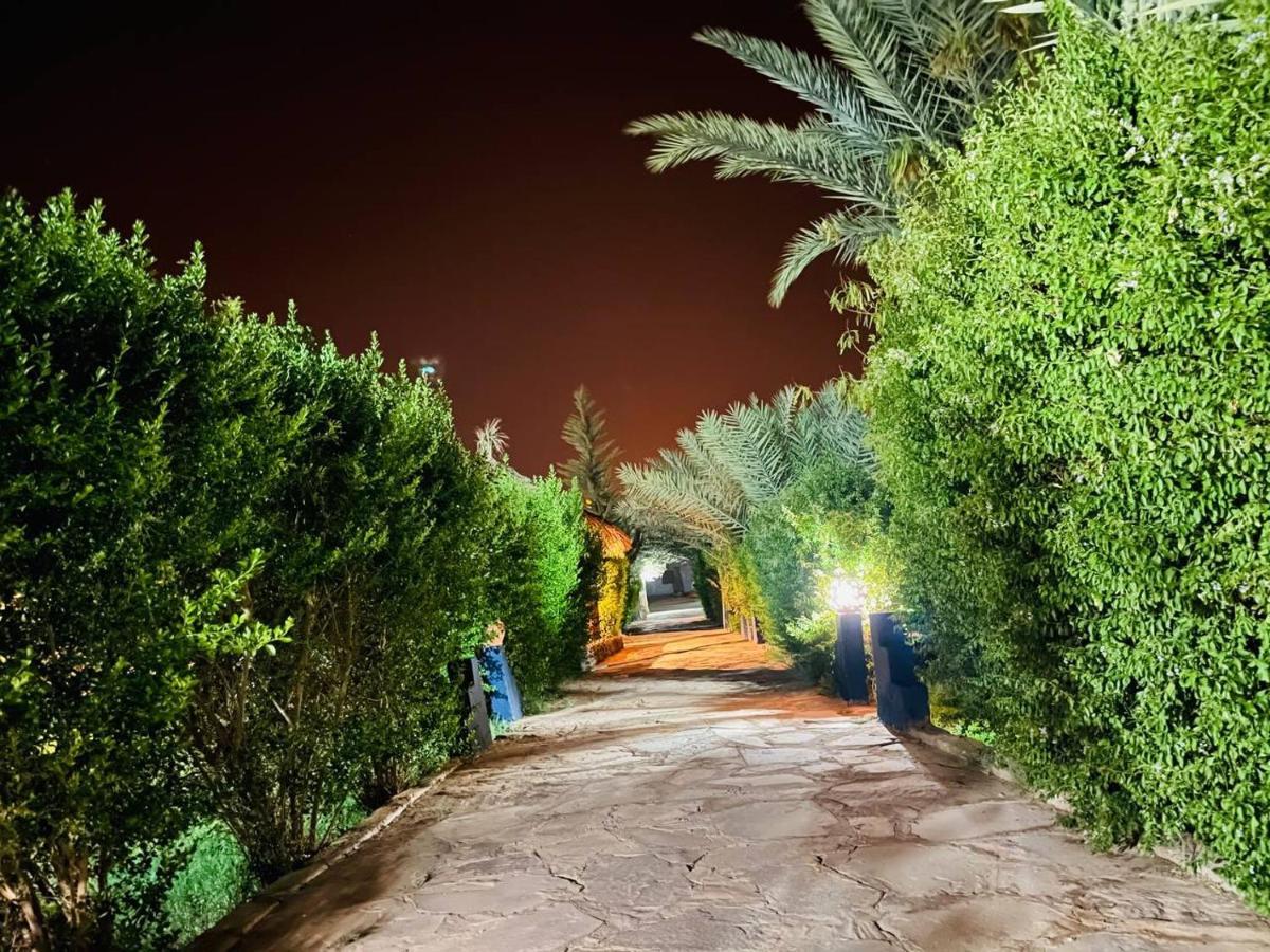 Paradis Touareg Zagora Bagian luar foto
