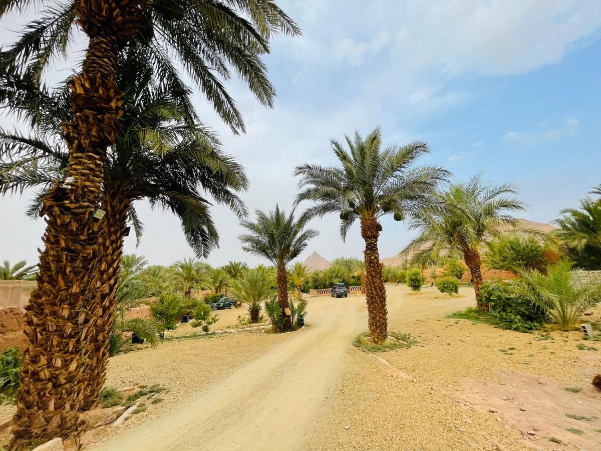 Paradis Touareg Zagora Bagian luar foto