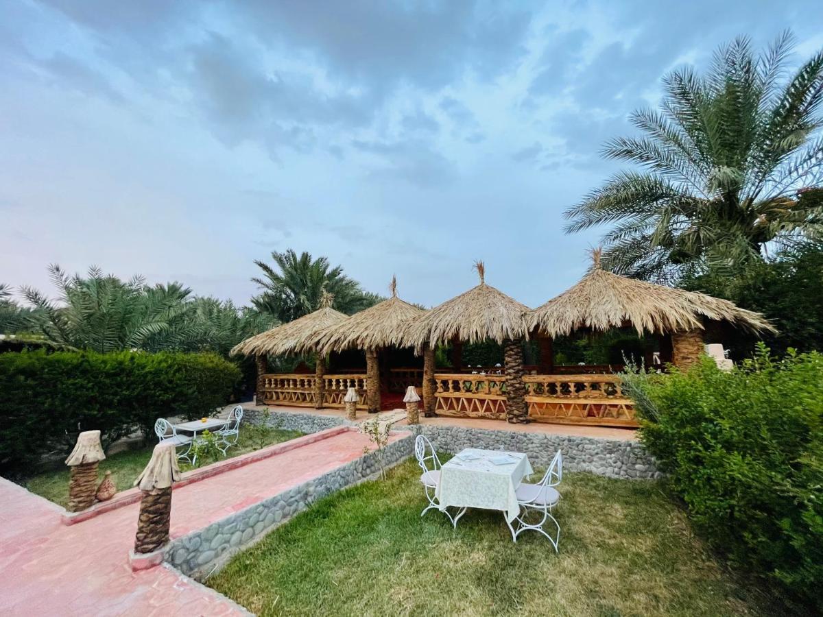 Paradis Touareg Zagora Bagian luar foto
