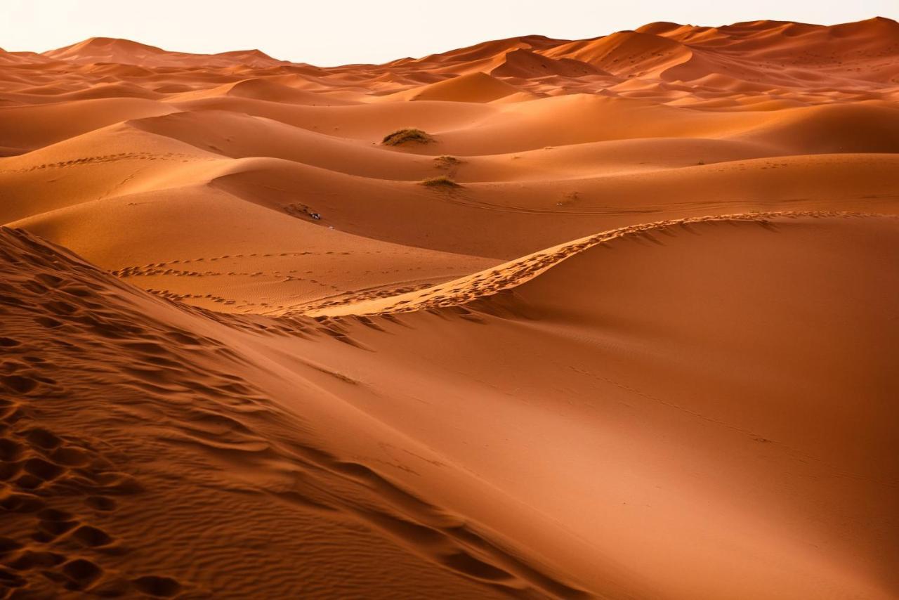Paradis Touareg Zagora Bagian luar foto