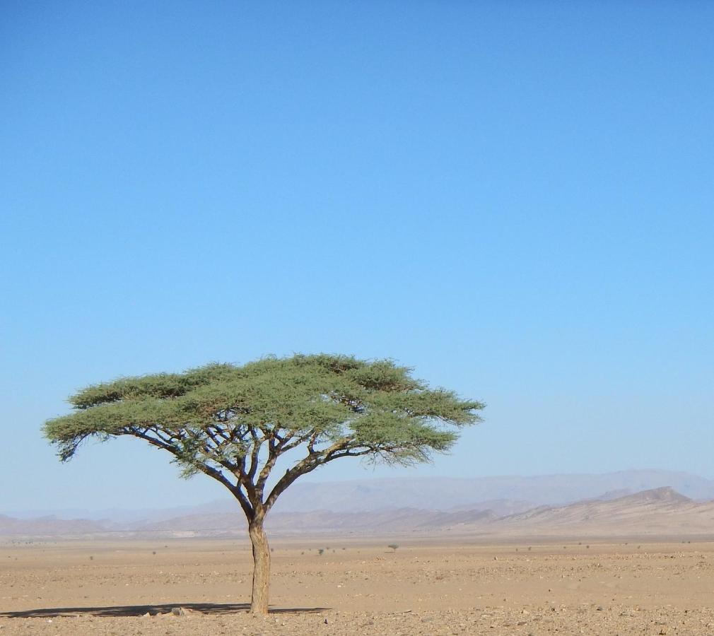 Paradis Touareg Zagora Bagian luar foto