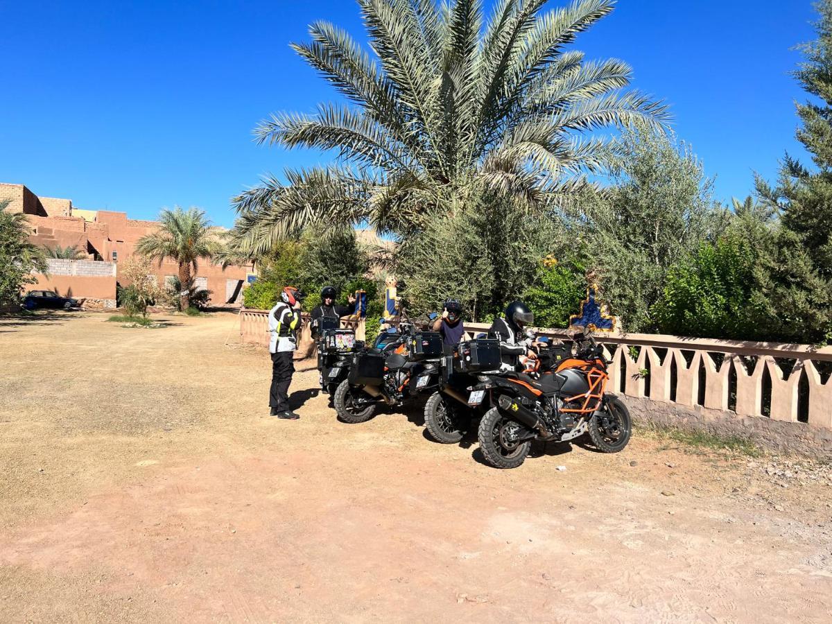 Paradis Touareg Zagora Bagian luar foto