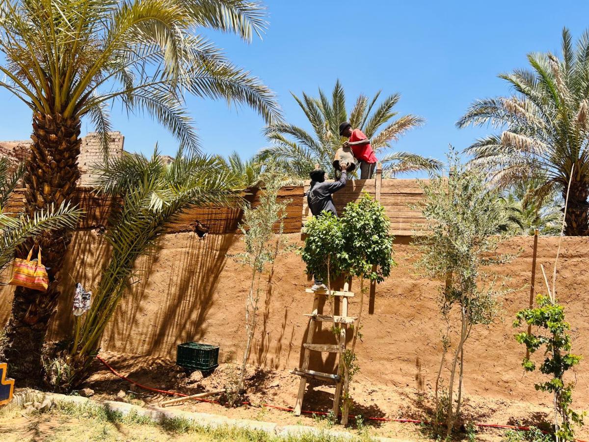 Paradis Touareg Zagora Bagian luar foto